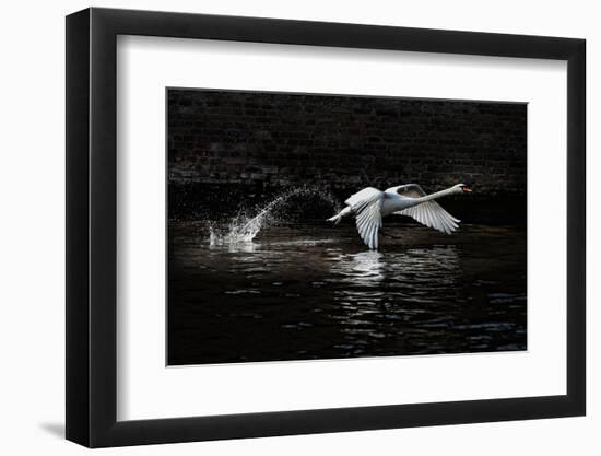 L'Envol-Piet Flour-Framed Photographic Print