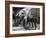 L'Equipee Sauvage THE WILD ONE by Laszlo Benedek with Marlon Brando and Yvonne Doughty, 1953 (b/w p-null-Framed Photo