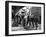 L'Equipee Sauvage THE WILD ONE by Laszlo Benedek with Marlon Brando and Yvonne Doughty, 1953 (b/w p-null-Framed Photo