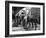 L'Equipee Sauvage THE WILD ONE by Laszlo Benedek with Marlon Brando and Yvonne Doughty, 1953 (b/w p-null-Framed Photo