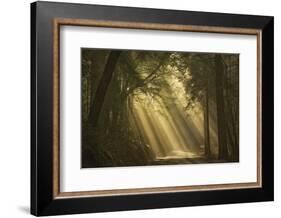 L'esprit du soleil-David Lorenz Winston-Framed Art Print
