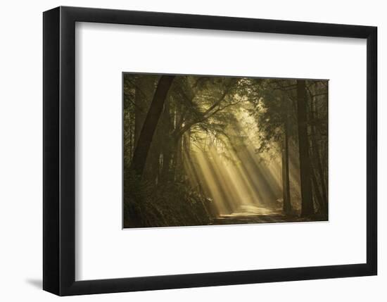 L'esprit du soleil-David Lorenz Winston-Framed Art Print