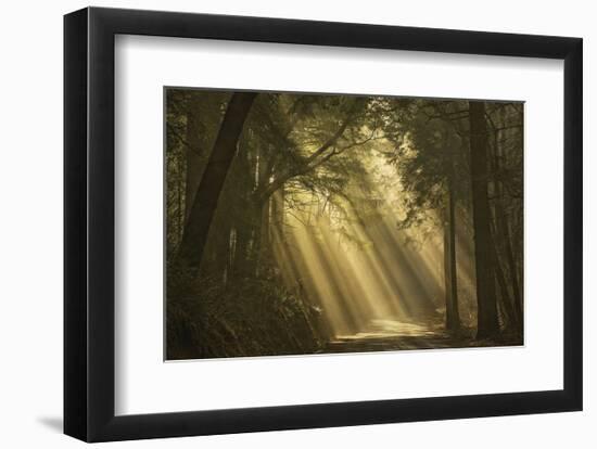 L'esprit du soleil-David Lorenz Winston-Framed Art Print