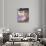 L'Ete sur la Cote d'azur-Roger Broders-Premium Giclee Print displayed on a wall