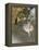 l'Etoile ou Danseuse sur scène-Edgar Degas-Framed Premier Image Canvas