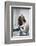 L'etrangleur by Boston THE BOSTON STRANGLER by RichardFleischer with Tony Curtis and Henri Fonda, 1-null-Framed Photo