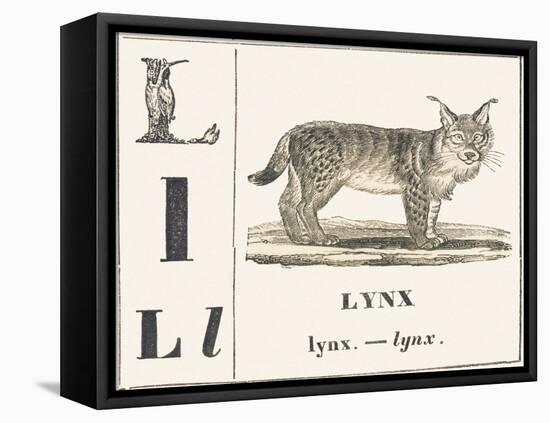 L for Lynx, 1850 (Engraving)-Louis Simon (1810-1870) Lassalle-Framed Premier Image Canvas