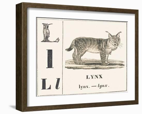 L for Lynx, 1850 (Engraving)-Louis Simon (1810-1870) Lassalle-Framed Giclee Print