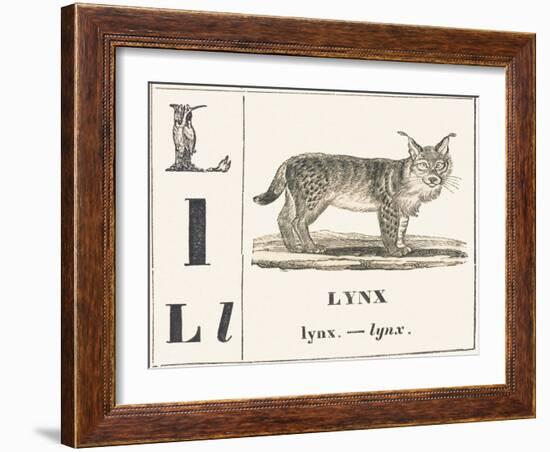 L for Lynx, 1850 (Engraving)-Louis Simon (1810-1870) Lassalle-Framed Giclee Print