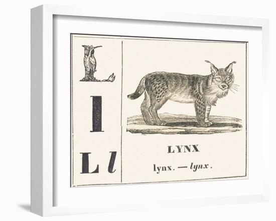 L for Lynx, 1850 (Engraving)-Louis Simon (1810-1870) Lassalle-Framed Giclee Print