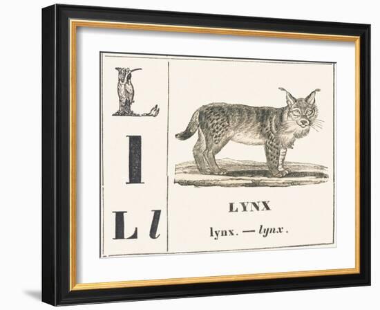 L for Lynx, 1850 (Engraving)-Louis Simon (1810-1870) Lassalle-Framed Giclee Print