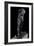 L'homme Qui Marche Bronze Sculpture by Auguste Rodin (1840-1917) 1905 Paris, Musee Rodin.-Auguste Rodin-Framed Giclee Print