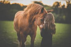 Cute Little Girl with Her Horse on a Lovely Meadow Lit by Warm Evening Light-l i g h t p o e t-Photographic Print