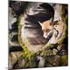 Premium Photographic Print