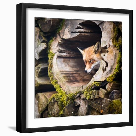 Photographic Print, , large