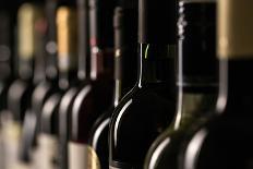 Row of Vintage Wine Bottles in a Wine Cellar (Shallow Dof; Color Toned Image)-l i g h t p o e t-Photographic Print