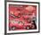 L'il Red Express Truck-null-Framed Premium Giclee Print