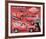 L'il Red Express Truck-null-Framed Premium Giclee Print