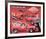 L'il Red Express Truck-null-Framed Premium Giclee Print