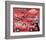 L'il Red Express Truck-null-Framed Art Print