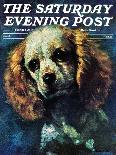 "Cocker Spaniel," Saturday Evening Post Cover, March 1, 1975-L. Mayer-Premier Image Canvas