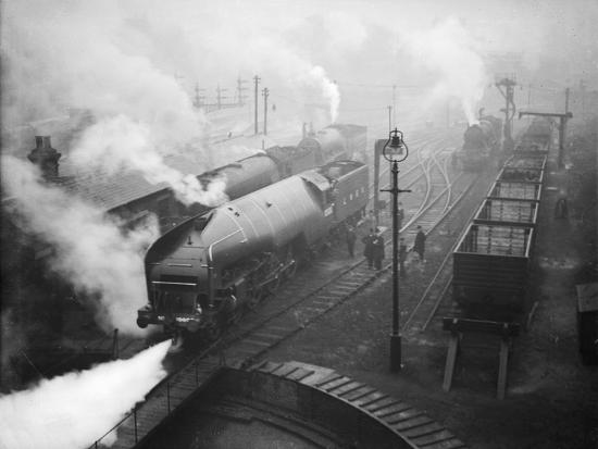 Photographic Print, , large