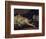 L'Odalisque-Francois Boucher-Framed Giclee Print