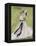 L'Officiel - Robe de Garden Party de L. Mendel-Mourgue-Framed Stretched Canvas