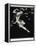 L'Oiseau de Feu, from the Series Designs on the Dances of Vaslav Nijinsky-Georges Barbier-Framed Premier Image Canvas