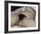 L'Origine du monde-Gustave Courbet-Framed Giclee Print