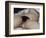 L'Origine du monde-Gustave Courbet-Framed Giclee Print