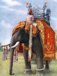 A Majestic Elephant at Bengal's Chief Festive Gathering, India, 1922-L Reverend Barber-Giclee Print