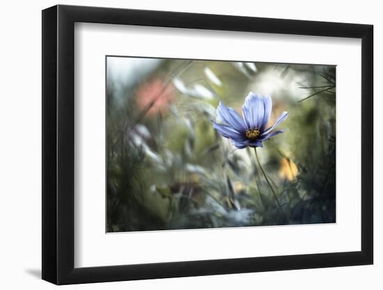 L'unification des Interactions-Fabien BRAVIN-Framed Photographic Print