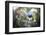 L'unification des Interactions-Fabien BRAVIN-Framed Photographic Print