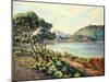 La Baie d'Agay, c.1910-Armand Guillaumin-Mounted Giclee Print