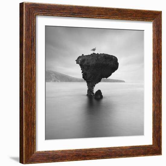 La Balandra-Moises Levy-Framed Photographic Print