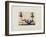 La bascule-Roland Topor-Framed Limited Edition