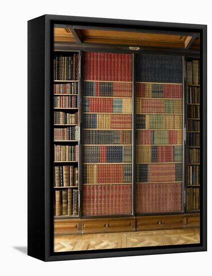La Bibliothèque du Cabinet des livres-null-Framed Premier Image Canvas