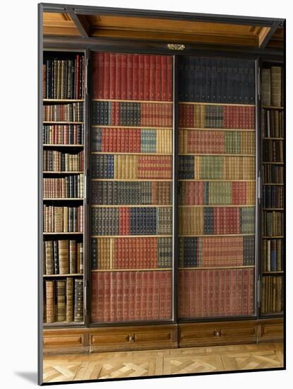 La Bibliothèque du Cabinet des livres-null-Mounted Giclee Print