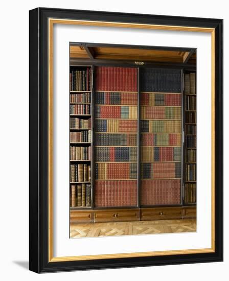 La Bibliothèque du Cabinet des livres-null-Framed Giclee Print