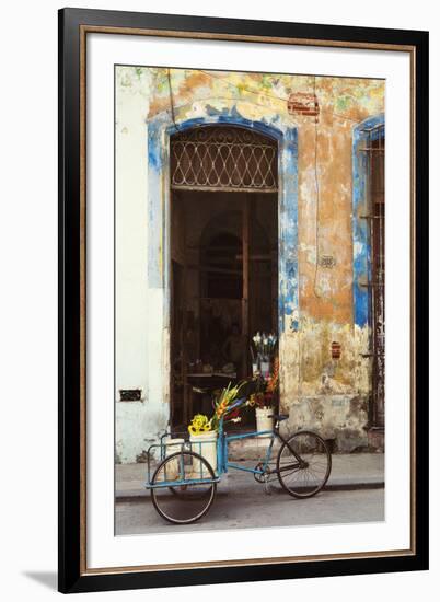 La Bici-Irene Suchocki-Framed Giclee Print