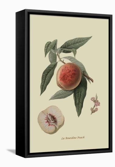 La Bourdine Peach-William Hooker-Framed Stretched Canvas