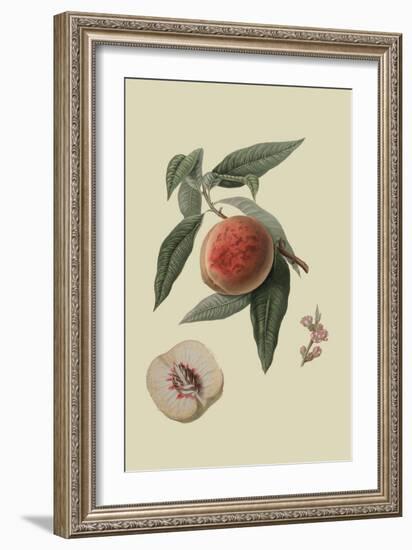 La Bourdine Peach-William Hooker-Framed Art Print