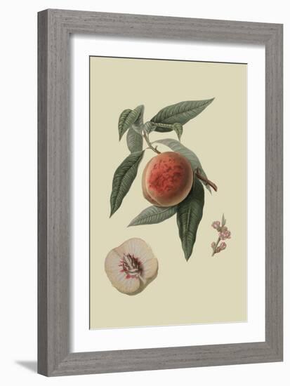 La Bourdine Peach-William Hooker-Framed Art Print