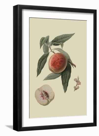 La Bourdine Peach-William Hooker-Framed Art Print