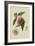 La Bourdine Peach-William Hooker-Framed Art Print