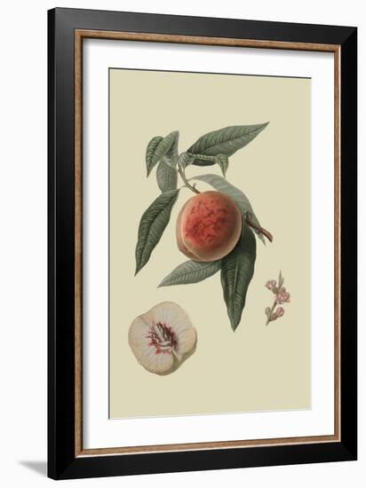 La Bourdine Peach-William Hooker-Framed Art Print