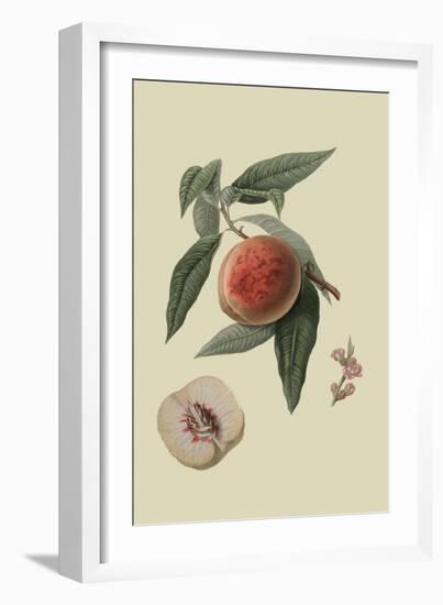 La Bourdine Peach-William Hooker-Framed Art Print