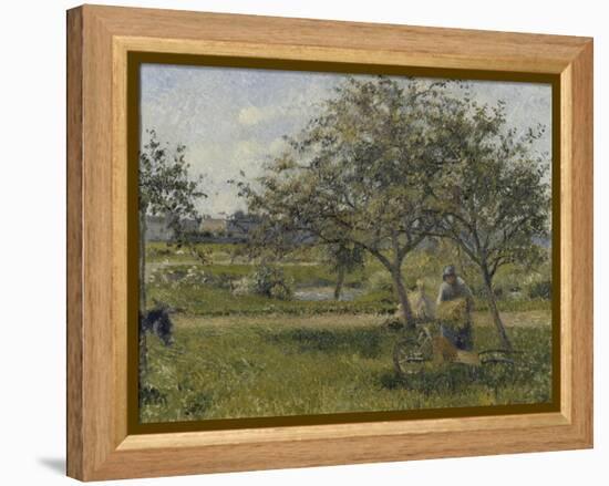 La brouette, verger-Camille Pissarro-Framed Premier Image Canvas