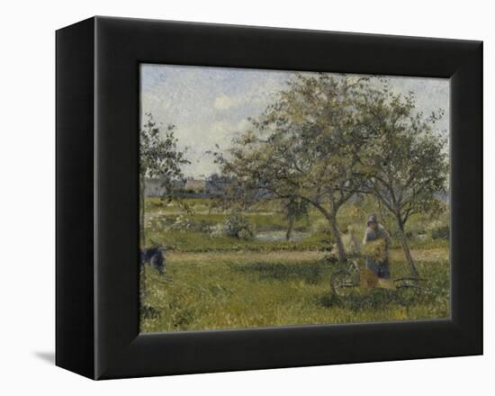 La brouette, verger-Camille Pissarro-Framed Premier Image Canvas